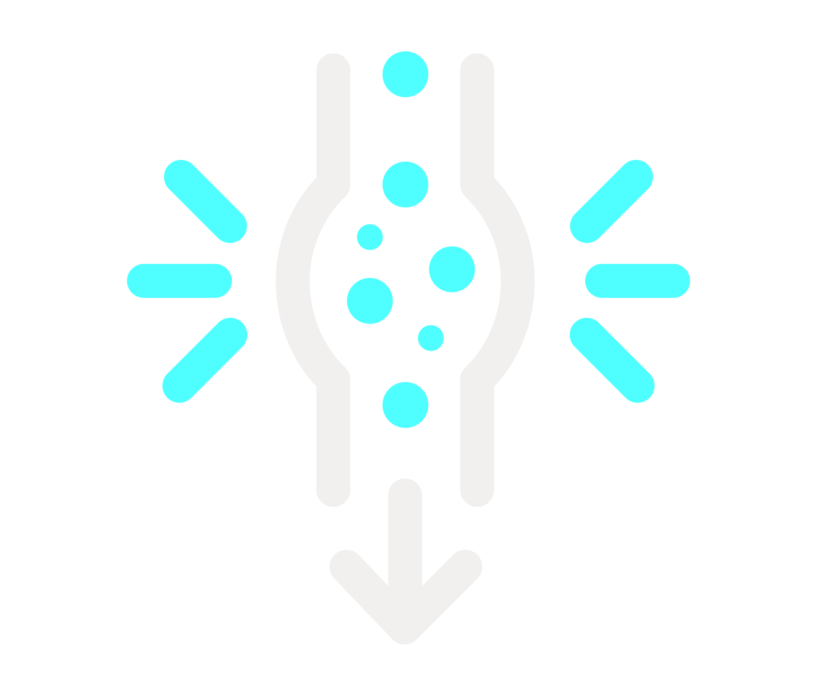 Aorta