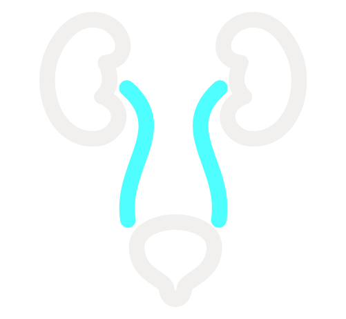 Oncology - Kidney and Bladder